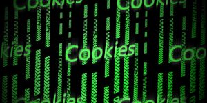 Adaptacion de la pol&iacute;tica de cookies de los portales Web - Legitec C&oacute;rdoba